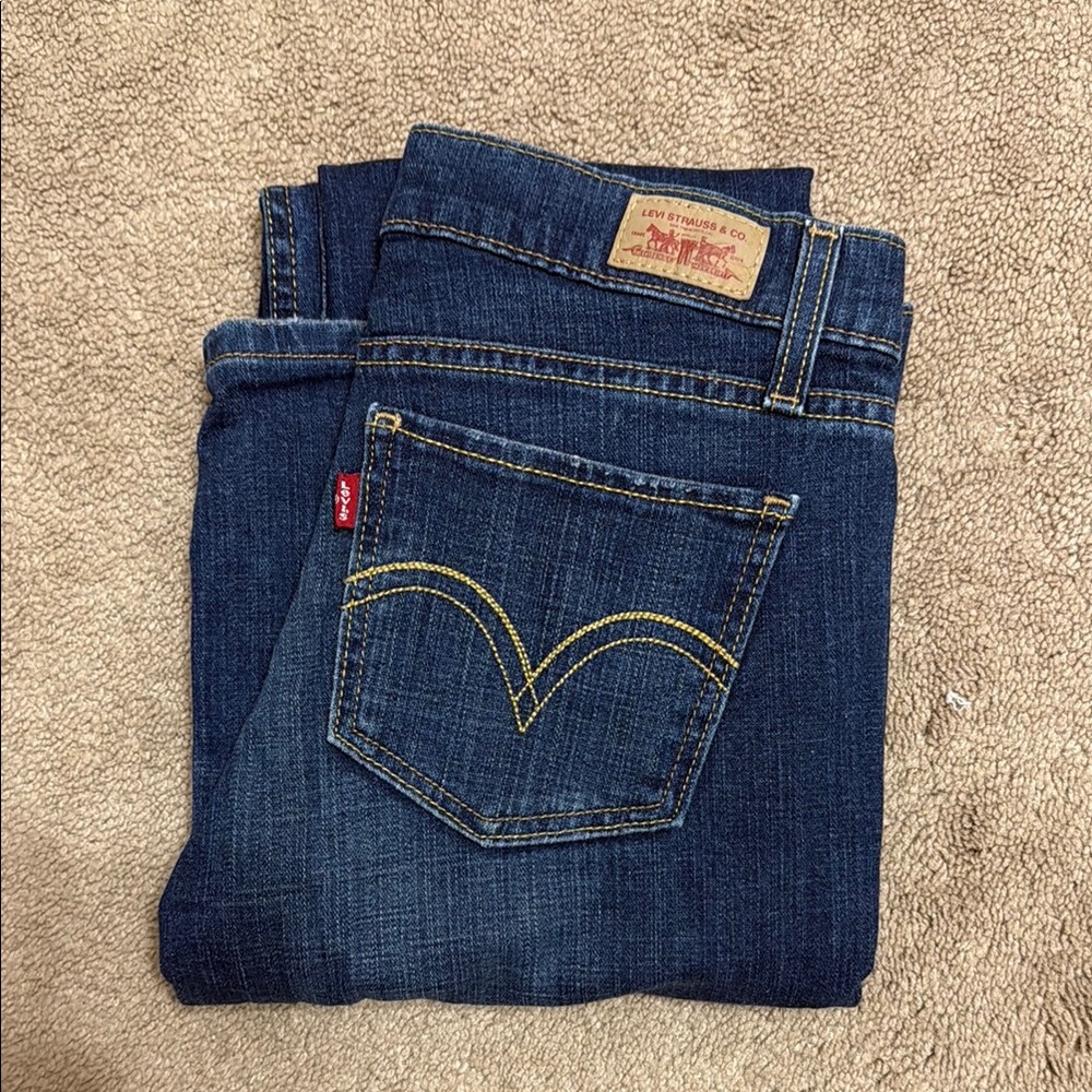 Levi's Women's Blue Jeans